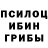 Псилоцибиновые грибы Psilocybine cubensis Galina Zeldin