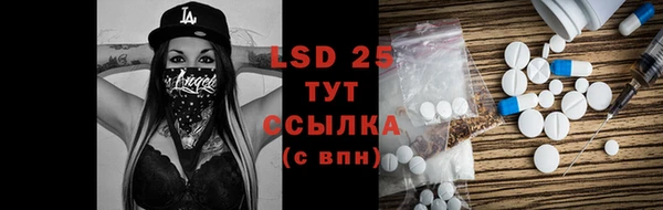 индика Семикаракорск